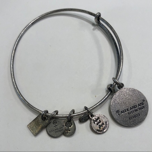 Alex and Ani Team USA Ice Hockey Bracelet - Picture 2 of 3